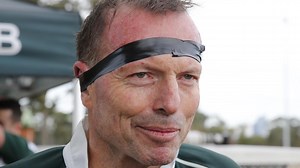 What does a political spin doctor do?