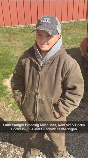 #MLCFarmVisits #Michigan Lane Stanger Breeding Mafia Max, Kool Aid & Hocus Pocus In 2024 | Matt Lautner Cattle