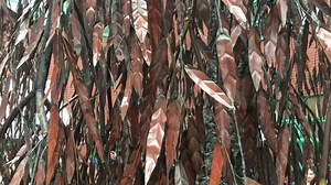 The Walton Centre NHS Foundation Trust and Charity on Reels