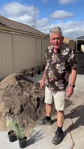 Top Soil or Toxic Waste - Part 2 | Hello Hello Plants & Garden Supplies