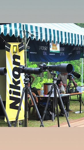 Borneo Bird Festival Wildlife and Birding Camera Equipment EXTRAVAGANZA! 🤩🤩🤩 #BorneoBirdFestival #sepilokforest #borneobirdclub #birdphotography #wildsabah | Borneo Bird Festival