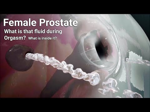 Female Anatomy - what is that fluid during o.r.g.a.s.m? What is inside it?Female prostate