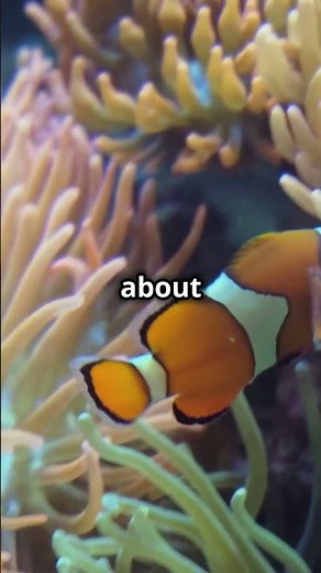 OMG! Mind Blowing Facts About Hermaphrodites! #organisms #hermaphrodites