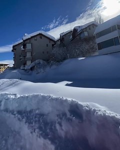 12K views · 525 reactions | LA PARVA HOJE DEPOIS DA NEVASCA E o...