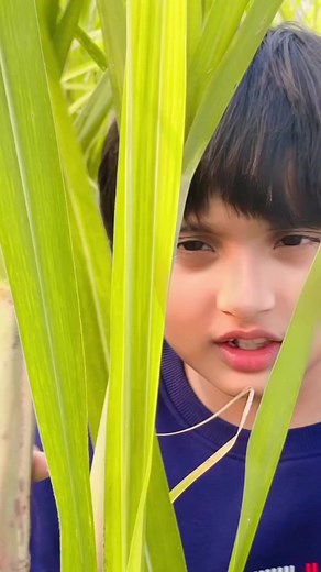 Teri nazar ka banke nishana | Star himank