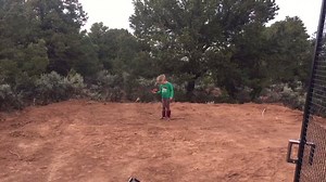 Capri and I with our sun Conure Detka yesterday 💛 | BirdTricks