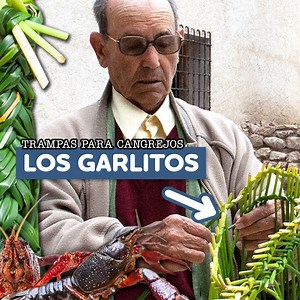 2.7K views · 113 reactions | Los garlitos: trampas para cangrejos hechas con juncos咽 | Eugenio Monesma Documentales | Facebook