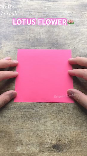 EASY LOTUS ORIGAMI FLOWER FOLDING | PAPER FLOWER LOTUS ORIGAMI TUTORIAL | DIY FLOWER PAPERCRAFT | KTCrafts