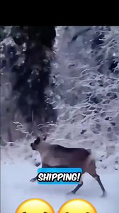 54K views · 1.1K reactions | Santa's getting pissed off.  | Cheer Up | Facebook