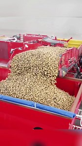 Amazing Machines | Snow Queen | Facebook