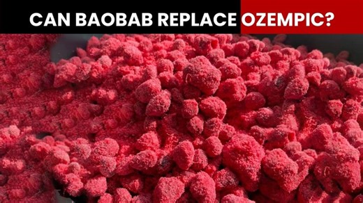 Baobab superfood is the new way to lose weight. It is a fabulous dietary fiber and a great supplement to the body. Watch to know all about this superfood. #Baobab #ozempic #health #NewsMo (Chaiti Narula) | India Today