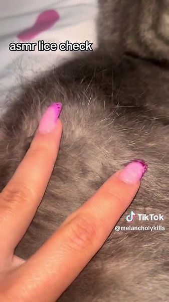 ASMR Lice Check Sounds for Relaxation