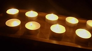 Dauphin passé le plateau de bois : vidéo de stock (100 % libre de droit) 3405141241 | Shutterstock