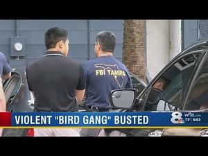 18 ‘Bird Gang’ members, associates indicted in Hillsborough County