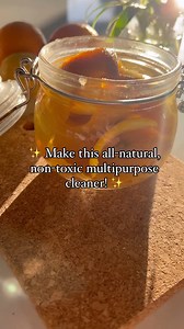 Homemade cleaners are the best cleansers - eco-friendly, natural, non-toxic, smells amazing 😍 Follow @wastefreeplanet for more sustainable education and join our green family of over 714K! Be sure to check out for our Waste Free Home Guide available now🌎💚 Subscribe for 25% off! Repost • @ecowithrada Revamp your natural cleaning routine with this homemade, eco-friendly multipurpose cleaner! 🍋✨ Harness the power of citruses to create a non-toxic solution right from your kitchen. Here’s a quick