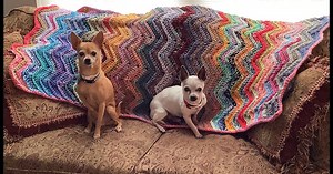 Scrap Happy Chevron Blanket Crochet Pattern | Posh Pooch Designs