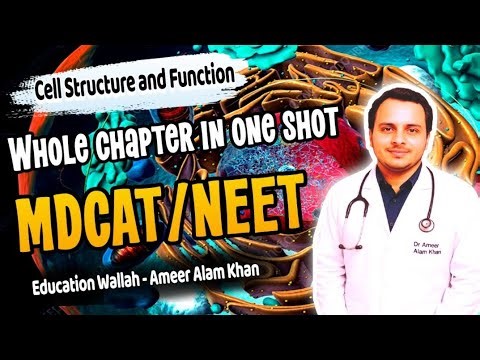 Cell Structure and Function in One Shot | MDCAT and NEET | Cell Structure, Function Complete Lecture
