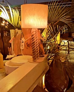 Nights out | Tree Trunk