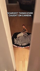 Scariest Things Caught on Camera in Basement