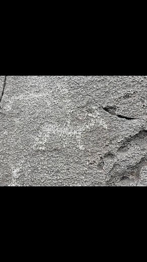 Searching for Native American petroglyphs in southern Oregon with found some wildlife along the way. Not a wildhorse trip this time but my eyes found a stunning painting of running wild horses on the wall of a restaurant, and scanned the hills outside of the Paisley area for mustangs. Found sunstones, and a number of petroglyphs, a few obsidian chips, as well as ancient teepee rings. Most exciting was finding a set of petroglyphs which looked to have a couple horse & riders on a boulder face. Pe