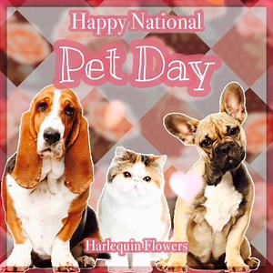 12K views · 835 reactions | My North Georgia Realtor on Reels | Facebook