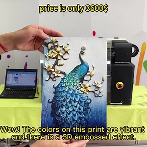 61K views · 534 reactions | Amazing! perfect 3D print quality 1 UV Printer,100 industries applied ! Door to door transportation,like it? www.funsunsign.com levis@funsunsign.com WhatsApp: +8613916043546 https://wa.me/8613916043546 | Funsun- China No.1 UV DTF Printer-2 | Facebook