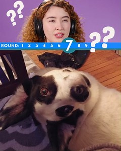 These optical illusions are trippy! 😵💫 #reaction #trick #opticalillusion | REACT