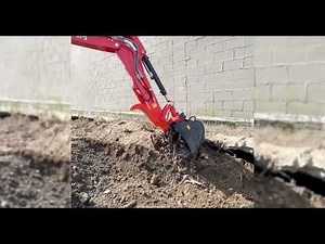 Japanese Knotweed Removal - Western Weed Control