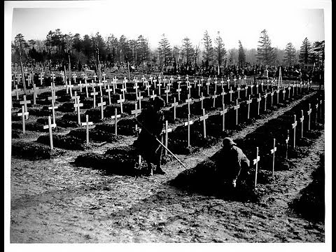 Killing Fields, People's Century - WWI Documentaries