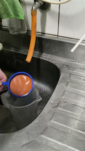 豐年蝦 無節幼蟲 採收完清潔集中