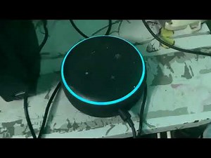 How to make Alexa swear