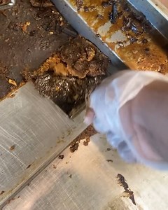 5K views · 21 reactions | Let's clean a dirty deep fryer! | Chocolates Lovers | Facebook