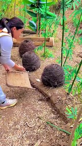 Best of Funny Moments
