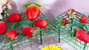 Havawish 10 Pack Strawberry Plant Support Holder for Chocolate Covered Strawberries Square Outdoor Plant Stand Holder, Growing Racks Growing Frame for Keeping Garden Clean