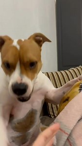 29K views · 462 reactions | E oggi vi mandiamo un po" di Saluti Da...