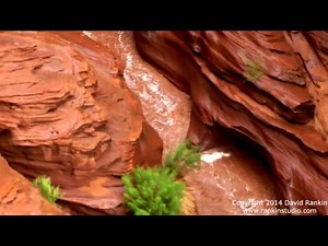Arizona Slot Canyon Flash Flood - Aug 20th, 2014