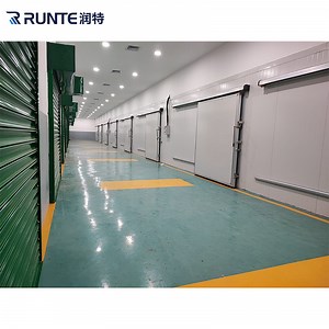 [Hot Item] CE ISO Cold Room Storage Blaster Freezer Room Mini Freezer Cool Room Panels Walk in Cooler for Meat/Vegetables