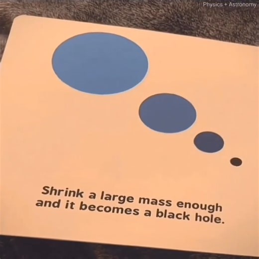 6.2K views · 96 reactions | ¡¿Por qué no me lo explicaron así?!. * La relatividad explicada para niños y dummies. De Chris Ferrie @physics_astronomy_1 | Sociedad De Filosofía Aplicada | Facebook