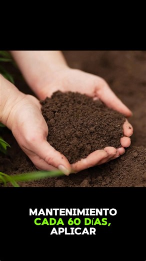 Estrategia combinada: abono orgánico y químico para pastos de alto rendimiento | Pastos de corte - AVINU SAC
