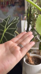 4.1K views · 58 reactions | I make micro minis too but yall rarely buy them 﫣 #coralstinyworld #coralsglass | Corals Glass | Facebook