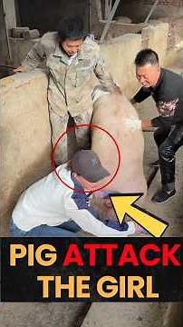 I Safely Loaded a Pig onto a Truck in JUST 10 Minutes | For Education Only