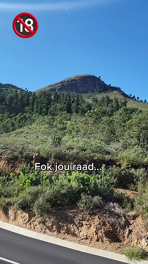 Fok jou...#gatvol #afrikaanstiktoks #eerlikheid #viral #trending #4you #fyp #fokjouopinie