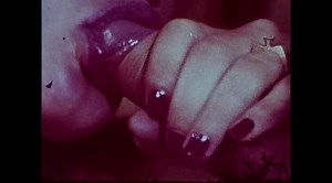 Sweedish Dish, Collection No.36