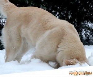 Brrr, wat wordt het koud ❄️ Hoe kom jij deze winterdagen door? | Proefdiervrij