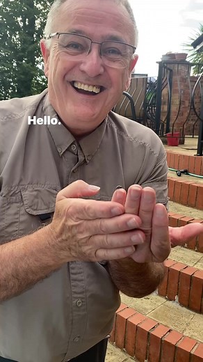 21K views · 458 reactions | Vine weevils pests #garden #gardening #plants #herbaceous #plantpests | Dave The Plantman | Facebook