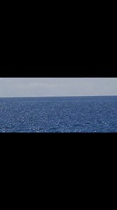 Some more Humpback whales 🐋 viewed from the beach! #humpbackwhales #Bonitobayresort #Morrungulo #Inhambane | Bonito Bay Resort