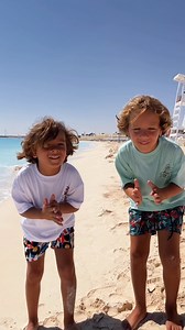 3.4K views · 12 comments | Never a bad day on the beach! 朗 | Toucan | Facebook