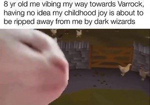 14K views · 750 reactions | Oldschool Runescape Memes on Reels | Facebook