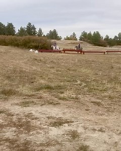 26 reactions | Colorado Horse Rescue on Reels | Facebook