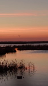 13 reactions | Waterfowl is not just hunting, is an attitude, a...